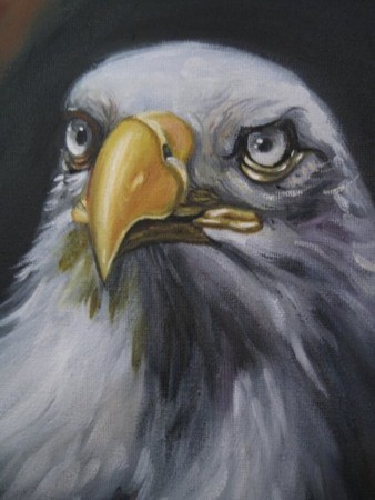 Aquila 